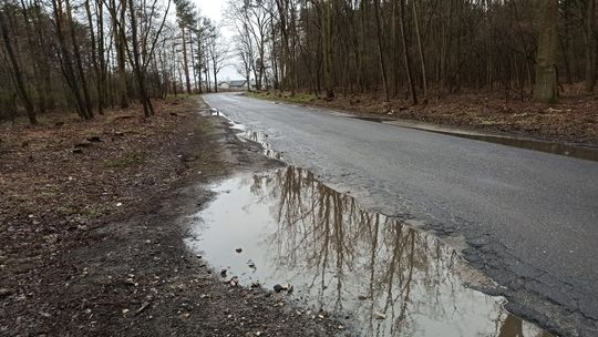 Droga śmierci! Podpisz petycje o jej remont 