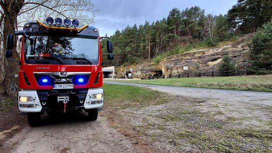 Drzewo runęło przy ścieżce do grot nagórzyckich. Interweniowała OSP
