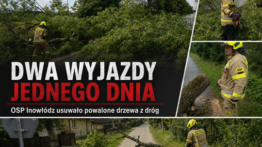 Dwa wyjazdy jednego dnia. Strażacy z OSP Inowłódz usuwali powalone drzewa z dróg