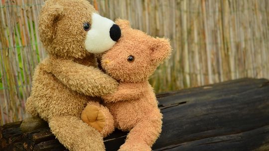 Dzień Pluszowego Misia – święto czułości, które nie kończy się w dzieciństwie