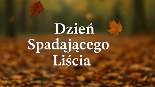 Dzień Spadającego Liścia — święto grawitacji, gracji i grabienia