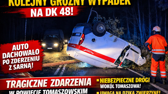 Dzika zwierzyna na drogach powiatu tomaszowskiego. Kolejny groźny wypadek na „48”