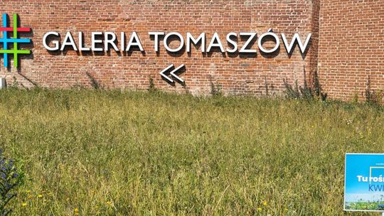 ECO TOUR w Galerii Tomaszów