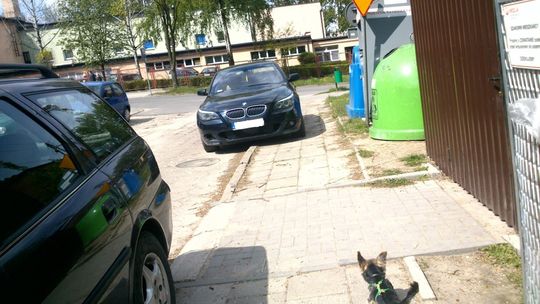 Efekt "poboczny" strefy płatnego parkowania