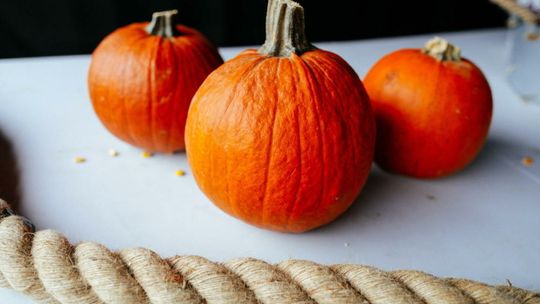 Ekolodzy alarmują, że Halloween to dzień marnowania dyń, które mogłyby być zjedzone