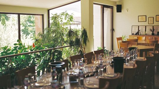 Ekologiczna restauracja. Jak sprawić, aby biznes był bardziej zielony?