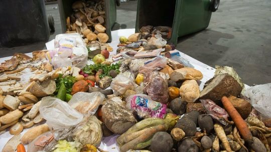Ekspertka: Polacy w ciągu roku marnują niemal pięć milionów ton żywności
