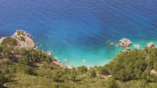 El Hierro – zielone płuca Wysp Kanaryjskich