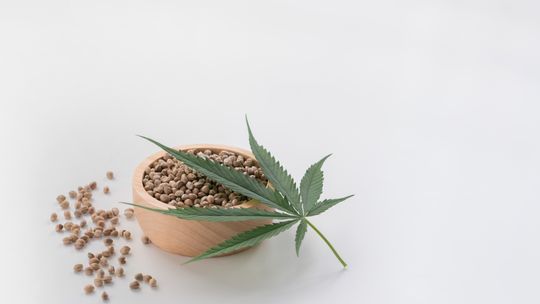 Elitarne Odmiany nasion marihuany: Seed Royal, Fastbuds i Sweet Seed
