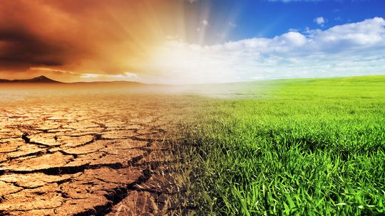 Fakty i mity o zmianach klimatu, nie daj się nabrać!