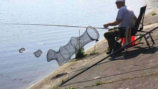 (FOTO/VIDEO) Płoć, Leszcz, Krąp zdominowały zawody