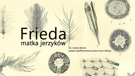 Frieda, matka jerzyków - nabór do spektaklu