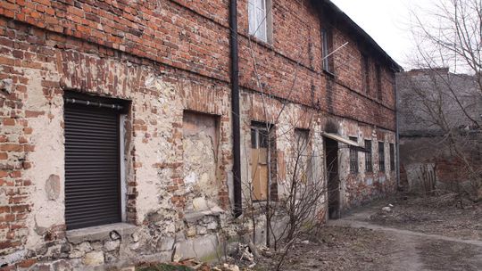 Galerianki i Galernicy