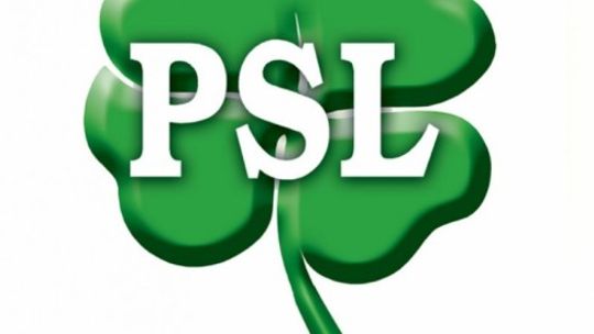 Gawron na czele PSL-u