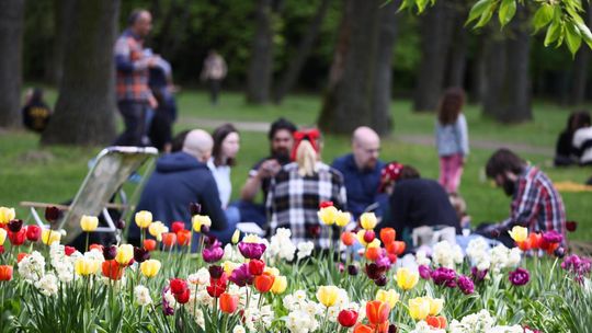 GIOŚ: jakość powietrza w 2023 roku się poprawiła