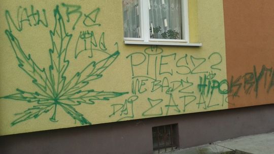 Głupki w akcji