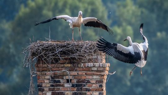 Gmina Rokiciny zachęca do wymiany pieców w ramach „Czystego Powietrza”