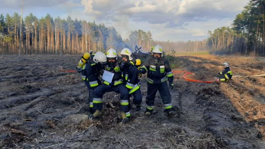Gmina Rzeczyca: pożar lasu i ranny ratownik 