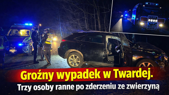 Groźny wypadek w Twardej. Trzy osoby ranne po zderzeniu ze zwierzyną