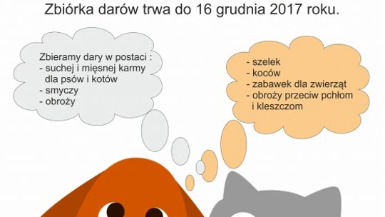 Gwiazdka dla zwierzaczka