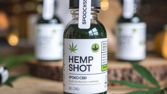 Hemp shoty zyskują na popularności