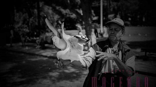 Hip hop z rozwiniętymi skrzydłami