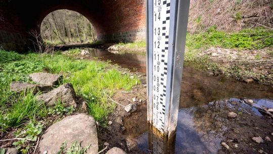 Hydrolog z IMGW: susza zagraża polskim rzekom; pustynnieją obszary kilku regionów