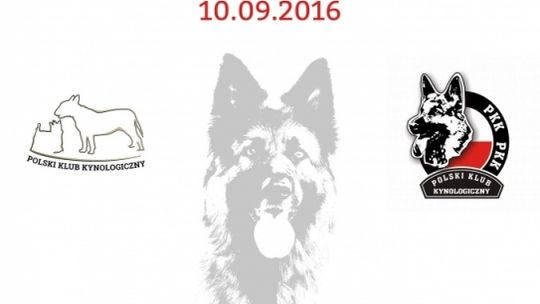 I Krajowa Wystawa Psów Rasowych w Mniszkowie