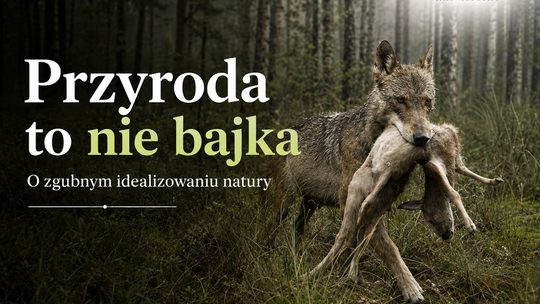 Idealizowanie przyrody, czyli jak staliśmy się niańkami świata