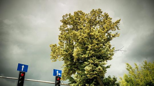 IMGW ostrzega przed burzami w dużej części kraju