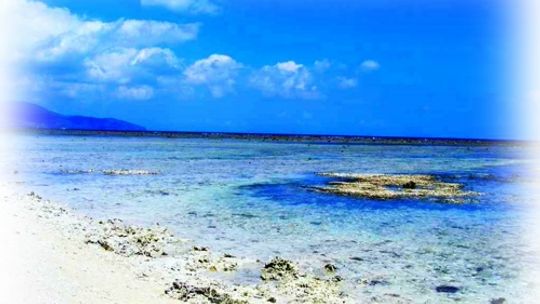 Indonezja (Lombok/Gili Trawangang) - Z kamerą w mikrokosmosach
