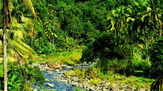 Indonezja (Sumatra, Padang) - Nareszcie w świecie Avatara