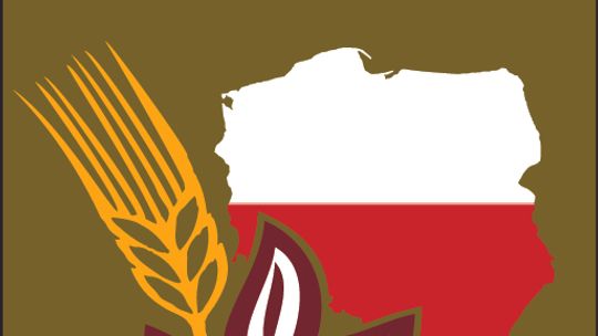 Informator dożynkowy