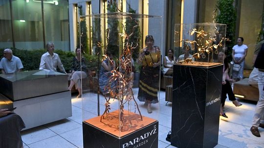 Inspirujący, odważny i innowacyjny – polski design by PARADYŻ w Ambasadzie RP w Berlinie Inspirujący, odważny i innowacyjny – polski design by PARADYŻ w Ambasadzie RP w Berlinie