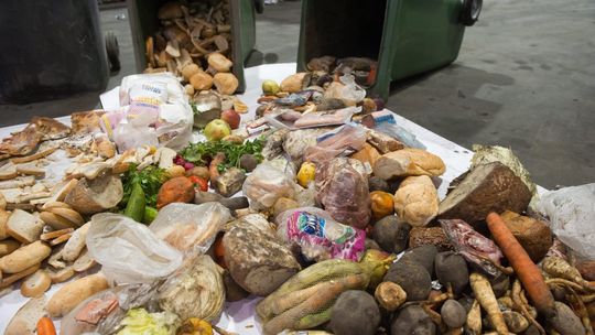 Instytut Ochrony Środowiska: każdy Polak marnuje średnio 123 kg żywności rocznie