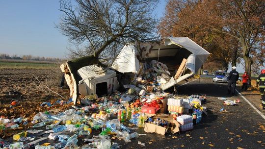 Izotermą w drzewo