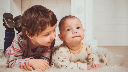Jak komponować posiłki dla dziecka? Poradnik dla rodziców