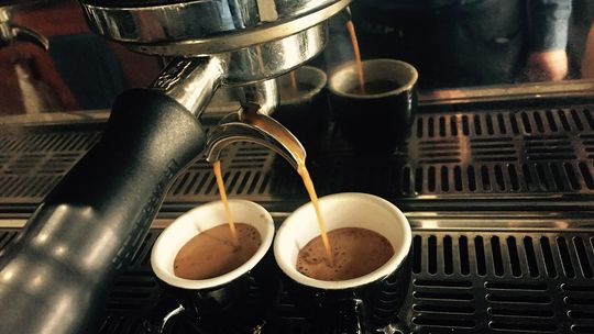 Jak naturalne ekstrakty roślinne wspierają codzienne samopoczucie