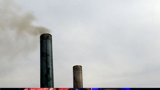Jak poprawnie rozpalać w piecu. Pokaz na placu Kościuszki