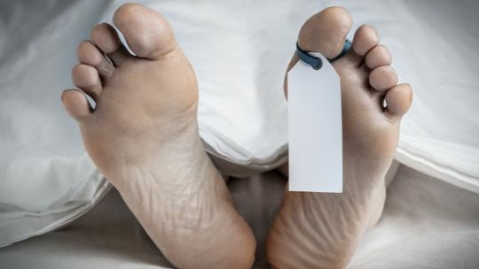Jak śmierdzą zwłoki? Zapach trupiego jadu