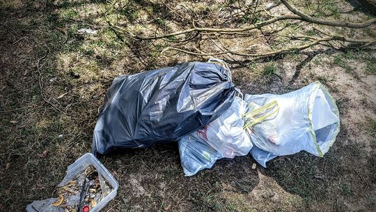 Jedni śmiecą, inni sprzątają