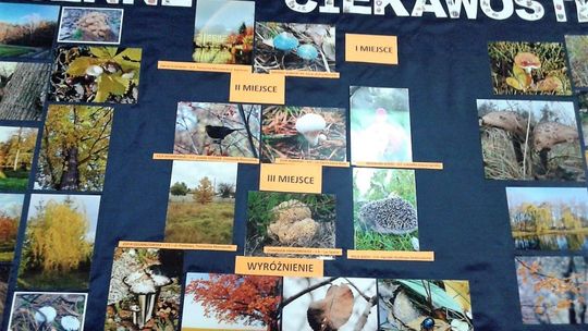 Jesienne Ciekawostki z 'Dziesiątki'