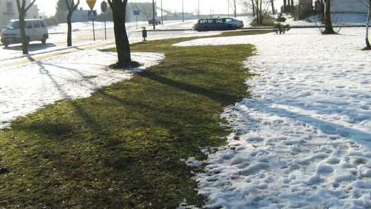 Jeszcze jeden sposób na walkę ze smogiem