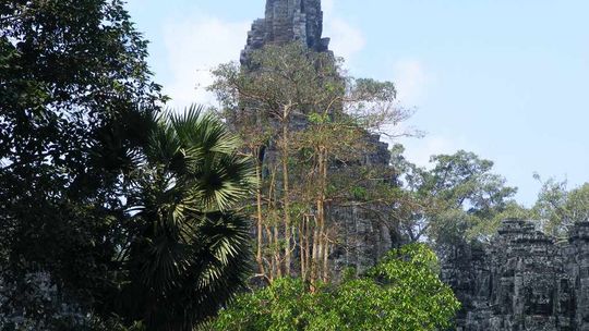 Kambodża - Zwycięski Siem Reap i mistyczny Angkor