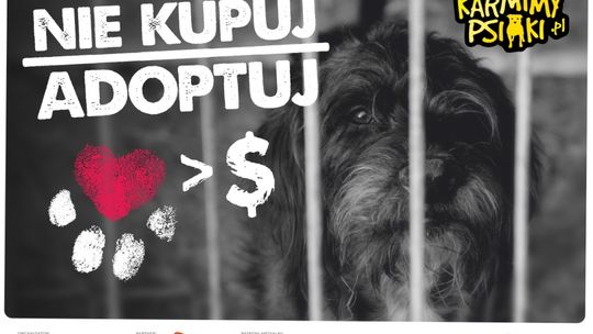 Kampania społeczna „Nie kupuj – adoptuj”