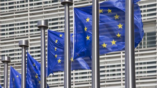 Kandydaci na europosłów czy figuranci?