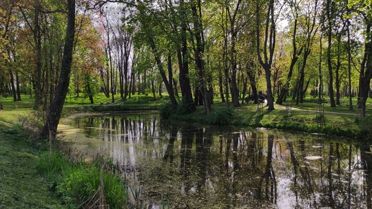 Kilkanaście kilometrów stąd 