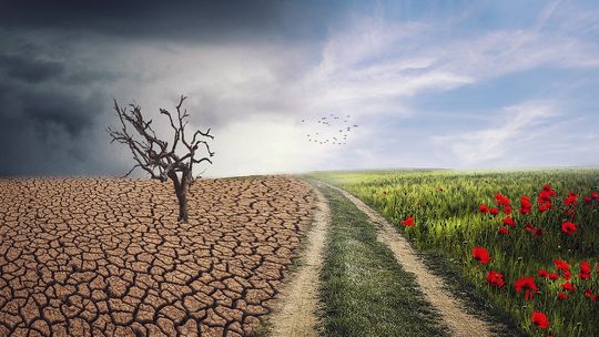 Klimatolog: rok 2024 rekordowo ciepły, ale wszystko wskazuje, że rekord szybko zostanie pobity