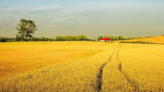 Koła Gospodyń Wiejskich mogą starać się o wsparcie finansowe!