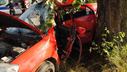 Kolejna śmierć na drodze. Tym razem w okolicach Żelechlinka